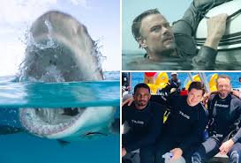 Shark week begins on discovery channel on sunday, aug. Shark Week 2019 Tv Schedule Discovery Channel Programming Line Up Tvline