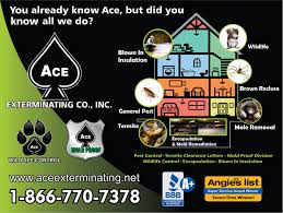 Experienced tutor will meet you where you are. Ace Exterminating Co Inc Reviews Joelton Tn Angi