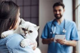 Pet insurance through farmers is provided by pets best. Pet Insurance Plans For Dogs And Cats Farmers Insurance