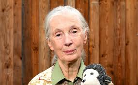 History-Making Jane Goodall Act Could Put An End To Roadside Zoos In Canada