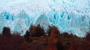 Things to do in los glaciares national park, argentina: Glaciers Lakes Safari Natural World Safaris