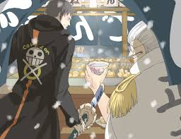 one piece trafalgar law sengoku