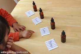 Thus, olfactory and gustatory information processing related to flavor perception (more specially, synchrony perception. Sense Of Taste Activity For Kids Using Tasting Bottles