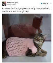 Anlamli Dusundurucu Eglenceli Guzel Komik Konusan Resimler Konusan Resimler Www Kizlarinsirlari Club Resimler Komik Komik Goruntuler