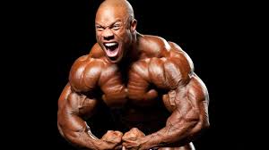Bodybuilding wallpapers, backgrounds, images 1920x1080— best bodybuilding desktop wallpaper sort wallpapers by: Gym Full Hd Bodybuilder Wallpaper Hd Novocom Top