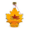 The 2017 australian international ice hockey cup was contested by two teams and won by the canadian maples. 1