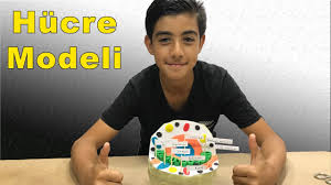 Hucre Modeli Yapimi Proje Odevi Youtube