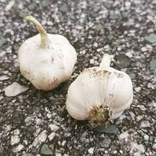 Was Kann Man Im Juli Pflanzen Und Saen Gruneliebe De Vegetables Food Instagram