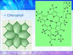 Instead, they consist of anions and cations found together to. Coordination Compounds Online Presentation