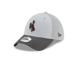 Wyoming Cowboys Neo 39thirty Stretch Fit Hat Grey