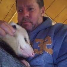 Found cat in backyard with pink/peach/tan collar in Grayson County, TX