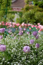 Theresa Lu Monets Garten In Giverny Claude Monet Monet Garten Herzlichen Gluckwunsch