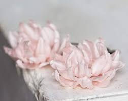 We did not find results for: Amazon Com Bridal Hair Clips Bridal Hair Pins Flower Hair Clip Bridal Hair Clip Wedding Hair Clip Blush Pink Hair Accessories Pink Flower Clip 714 Handmade