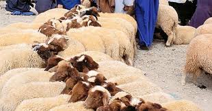 Epingle Par Messari Abdellatef Sur Morocco The Never Ending Summer Maroc Insolite Destinations Maroc Photo Maroc
