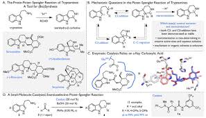 They are formed through the dehydration reaction of an aldehyde or ketone with an amine. Chiral Thioureas Promote Enantioselective Pictet Spengler Cyclization By Stabilizing Every Intermediate And Transition State In The Carboxylic Acid Catalyzed Reaction Abstract Europe Pmc