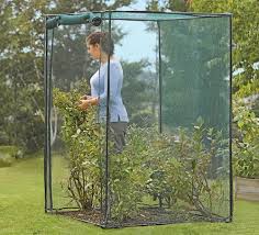 Bird Netting For Blueberries Lowes Protecting Berries From Birds Blueberries Raspberries Strawberries Deer Repellant Garden Supplies Garden Pest Control