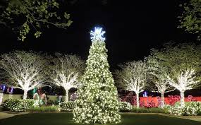 Holiday Lights In The Gardens Family Friendly Event Holiday Event Christmas Lights Florida Botanical Gardens Foundation Inc