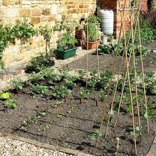 It is part of the fabaceae, which also contains other legumes. Fun Classroom Activities And Experiments To Interest Kids In Growing Plants Owlcation