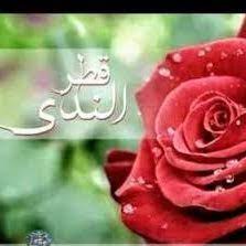 Check spelling or type a new query. Ù‚Ø·Ø± Ø§Ù„Ù†Ø¯Ù‰ Nada Ashehri Twitter