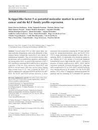 Gerente general de eco gas de la costa s.a.s. Pdf Kruppel Like Factor 5 As Potential Molecular Marker In Cervical Cancer And The Klf Family Profile Expression