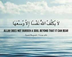 7 quotes have been tagged as quranic: 30 Islamic Quotes About Hardships In Life