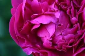 You can look at the address on the map. Wedding Flowers