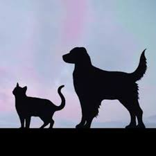 We believe it's about creating a partnership with our clients and developing a special bond with their pets. Animal Care Hospital Home Facebook