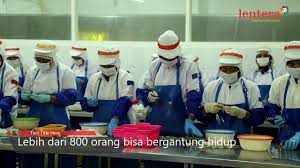 Maybe you would like to learn more about one of these? Pabrik Udang Di Banyuwangi Youtube