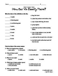 How Can We Classify Plants Quiz Classifying Plants Animal Worksheets Classifying Animals