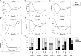 Image result for Xerophyta schlechteri