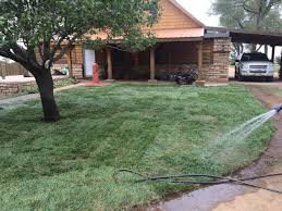 Rtf is the only tall fescue with true rhizomes. Turf Saver Rtf Fescue Sod Johnston Seed Company