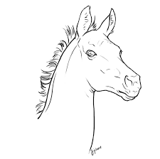 Horse head coloring pages coloring home. Free Foal Head Lineart Horse Coloring Pages Horse Coloring Horse Drawings