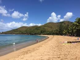 Plage De Grande Anse Deshaies See 505 Reviews Articles And 170 Photos Of Plage De Grande Anse Ranked No 3 On Tripadvisor Trip Advisor Places To See Photo