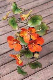 Pin On Beautiful Sugar Flowers