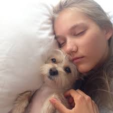 Sam Tracy (@iamsamtracy) • Instagram photos and videos