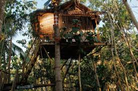 Agad na isinasalin ng libreng serbisyo ng google ang mga salita, parirala, at web page sa mahigit 100 pang wika mula sa english. Nyuh Bengkok Tree House In Nusa Penida Indonesia 80 Reviews Price From 17 Planet Of Hotels