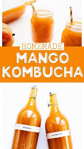 Homemade Mango Kombucha Recipe Kombucha Recipe Homemade Kombucha Kombucha Flavors Recipes