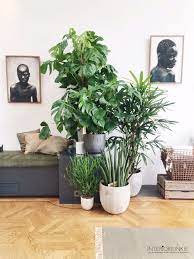 The fully vitreous, waterproof ceramic is glazed inside and out and has been high fired to ensure beauty and durability. 99 Creative Ways To Include Indoor Plants In Your Home Indoor Plant Arrangement Ideas Indoor Potted Plant A House Plants Indoor Bedroom Plants Interior Plants