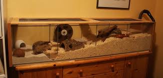My Natural In Environment Cage For A Dwarf Hamster Ikea Detolf Dwarf Hamster Cage Dwarf Hamster Dwarf Hamster Cages Ikea Detolf
