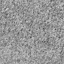 Shark Fin Texture Essentials Carpet Stainmaster Stainmaster Carpet Chenille