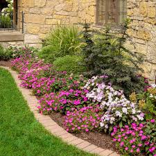 Maybe you would like to learn more about one of these? Plants For Tight Spaces Proven Winners