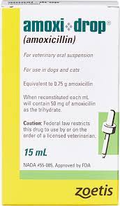 Amoxi Drop Amoxicillin Oral Suspension For Dogs Cats Chewy Free Shipping