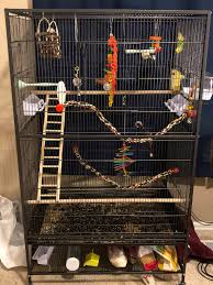 About 14% of these are pet cages, carriers & houses, 5% are birds food, and 3% are interactive toys. My Bird And Her Setup As Requested By A Few Reddit Users In R Budgies Album On Imgur