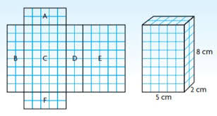 Go Math Grade 6 Answer Key Chapter 11 Surface Area And Volume Go Math Answer Key