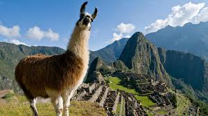 If taking a public bus, you would. Alles Zum Thema Peru Rtl De Rtl De