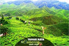 It is approximately 85km from ipoh or about 200km from kuala lumpur. Outdoor Public Areas In Tanah Rata To Be Smoke Free Zone Says Reach President Cameron Highlands Online