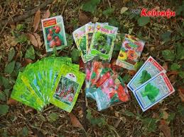 Bibit tanaman buah, terutama bibit buah super atau bibit buah unggul dengan varietas yang dijamin asli merupakan produk unggulan kami. Kebonku Pusat Tanaman Hidroponik