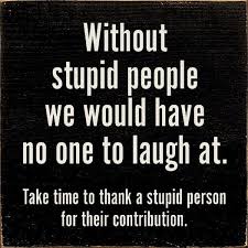 Stupidity is the presence of knowledge and the refusal to use it.. Stupid People Quotes 94 Quotes About Stupidity How To Protect Yourself From It Dogtrainingobedienceschool Com