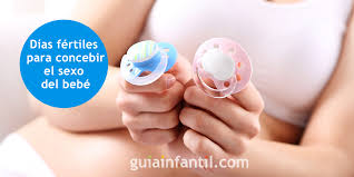 Dias Fertiles Para Quedar Embarazada