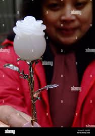 Rosen bluten hi-res stock photography and images